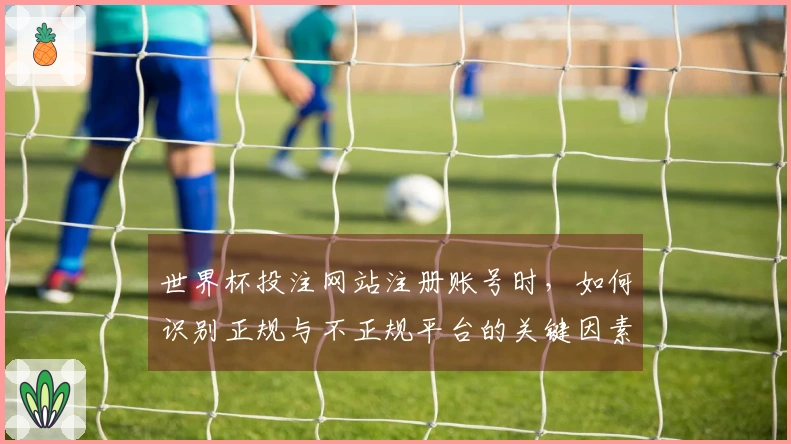 世界杯投注网站注册账号时，如何识别正规与不正规平台的关键因素