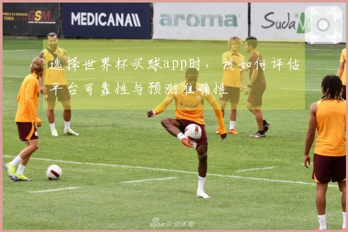 选择世界杯买球app时，该如何评估平台可靠性与预测准确性