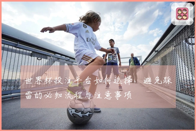 世界杯投注平台如何选择，避免踩雷的必知流程与注意事项