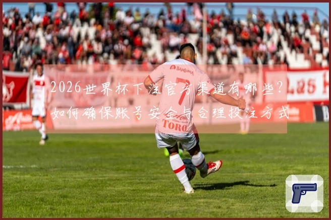 2026世界杯下注官方渠道有哪些？如何确保账号安全与合理投注方式