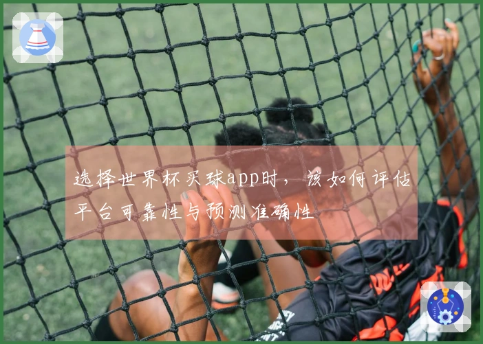选择世界杯买球app时，该如何评估平台可靠性与预测准确性